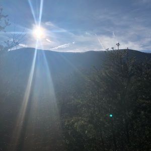 Meet your Posher, Wawalter